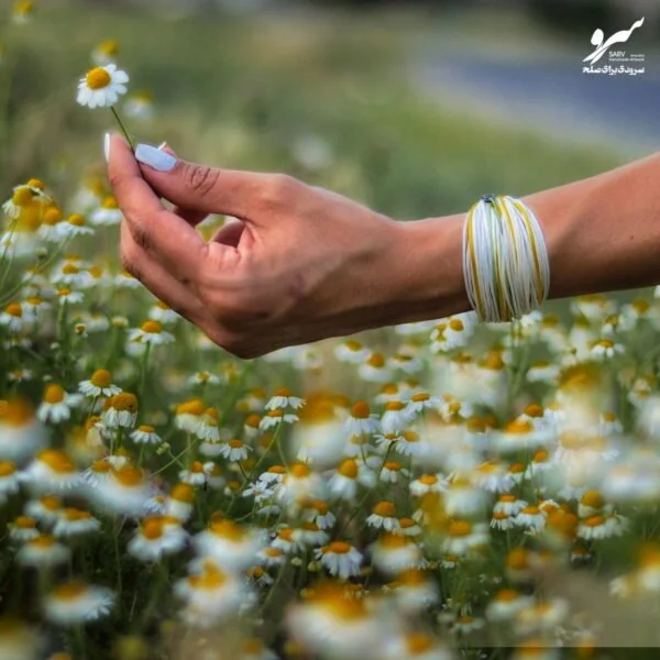 دستبند صلح و دوستی بهارنارنج