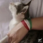 دستبند صلح و دوستی پرچم ایران