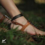 پابند صلح و دوستی شب جنگل