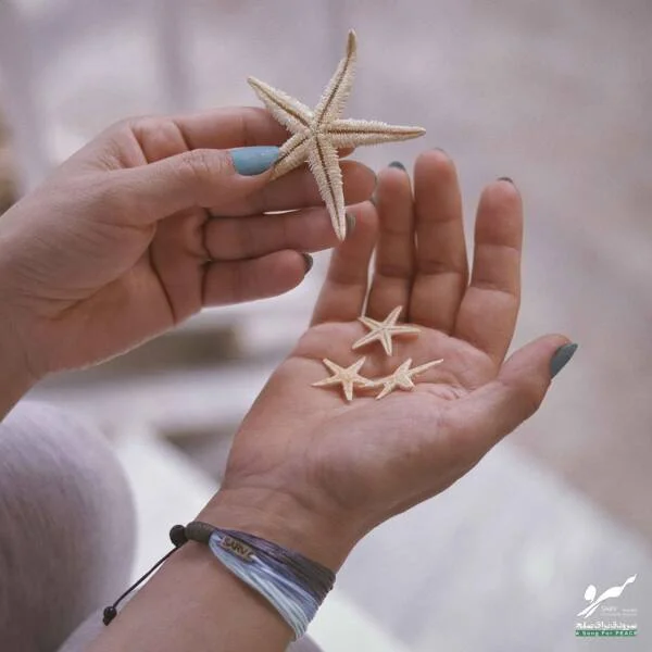 دستبند صلح و دوستی خلیج فارس