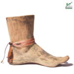 پابند صلح و دوستی شکوفه به