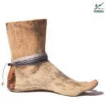 پابند صلح و دوستی پرستو