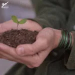 دستبند صلح و دوستی سرو