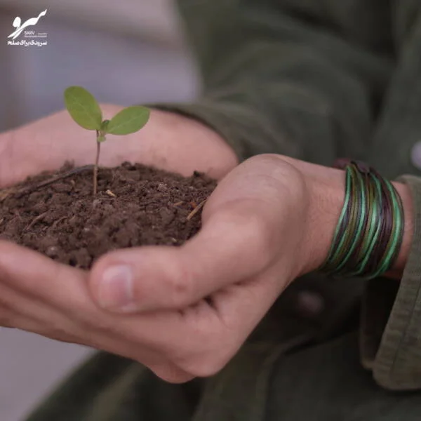 دستبند صلح و دوستی سرو