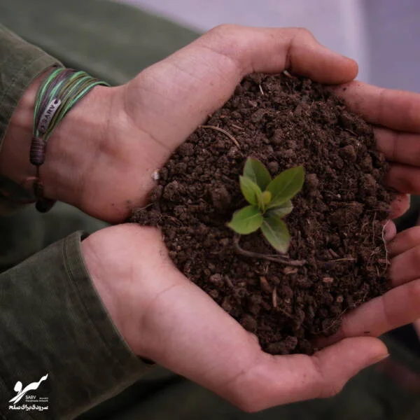 دستبند صلح و دوستی سرو