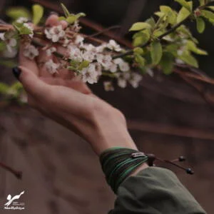 دستبند صلح و دوستی سرو