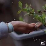 دستبند صلح و دوستی باران