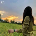دستبند صلح و دوستی شالیزار