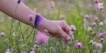 دستبند صلح و دوستی آمیتیس